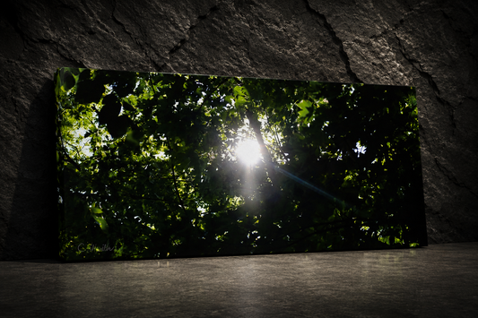 INSTINCT. Depth — Light Through The Dark