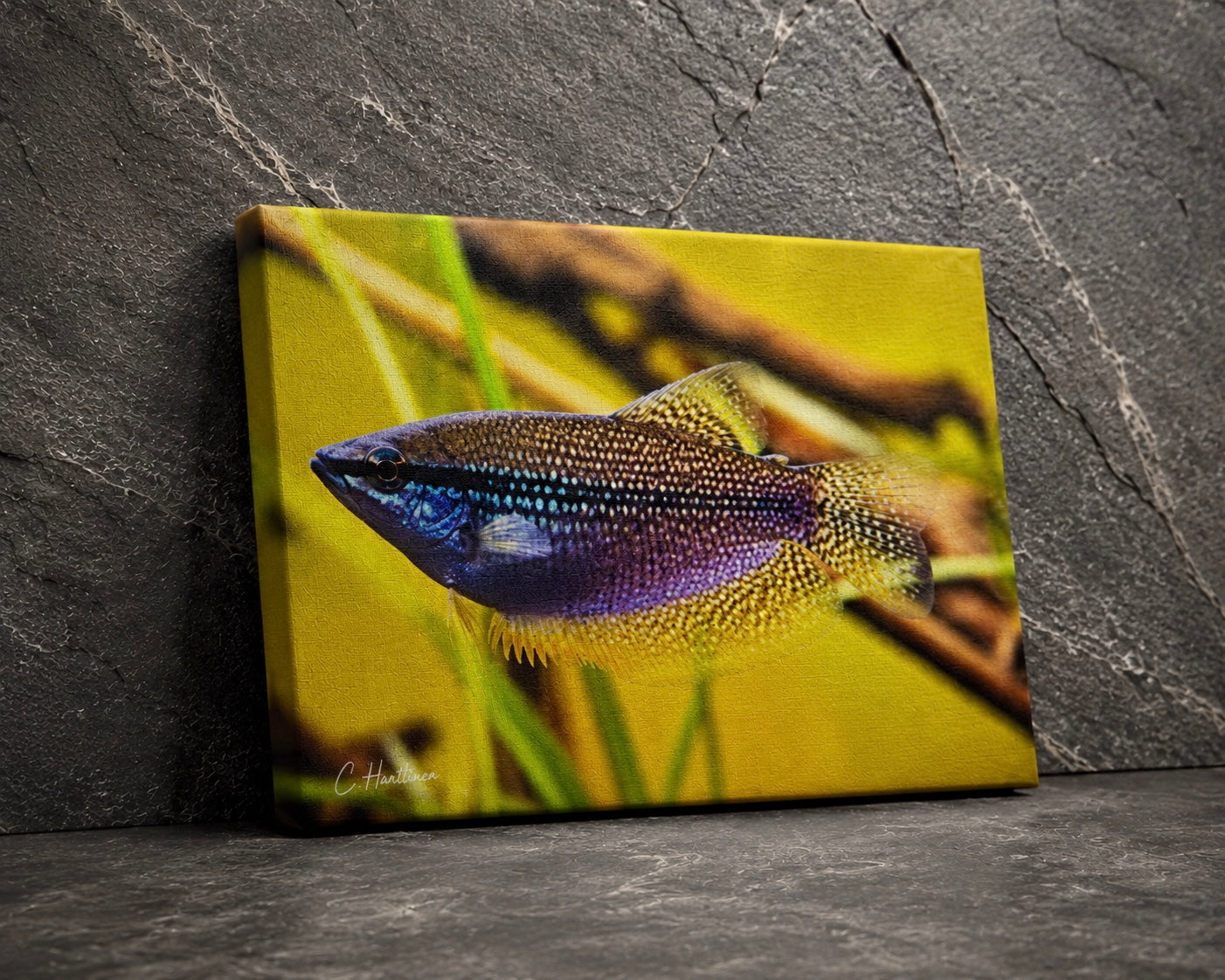 INSTINCT. Depth — Pearl Drift